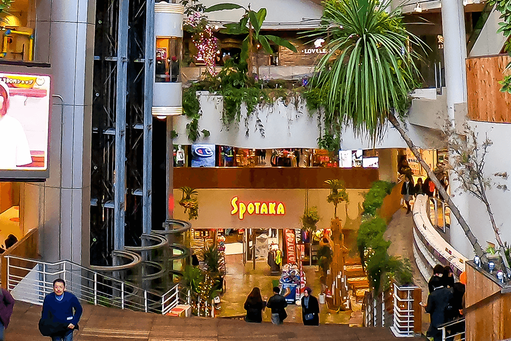 ビッグステップへ移転